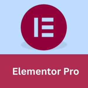 Elementor Pro (Latest version)